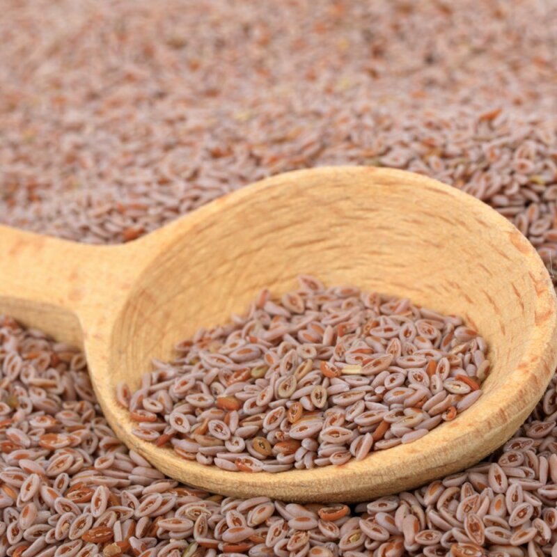 Natusat Flohsamen ganz - Supporto Naturale alla Digestione del Tuo Cavallo 1 kg