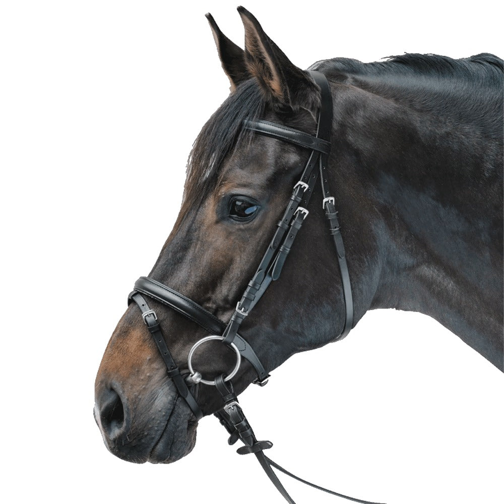 STAR Lifestyle Trensenzaum Leder Komfort Preiswert Reitsport