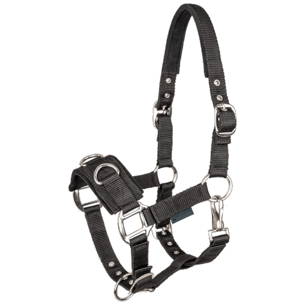 Longierhalfter Economic Nylon Gepolstert Für Pferd Training