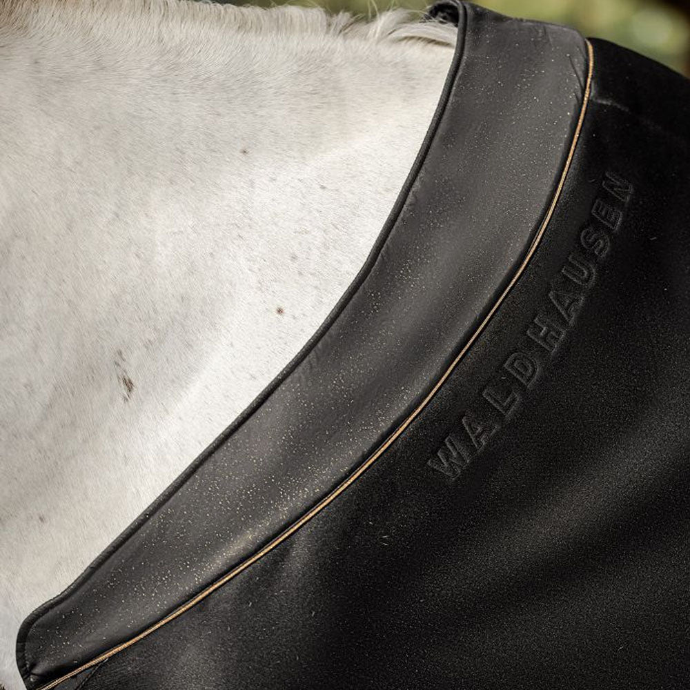 Coperta Assorbiumidità in Jersey Phoenix Waldhausen per Cavalli