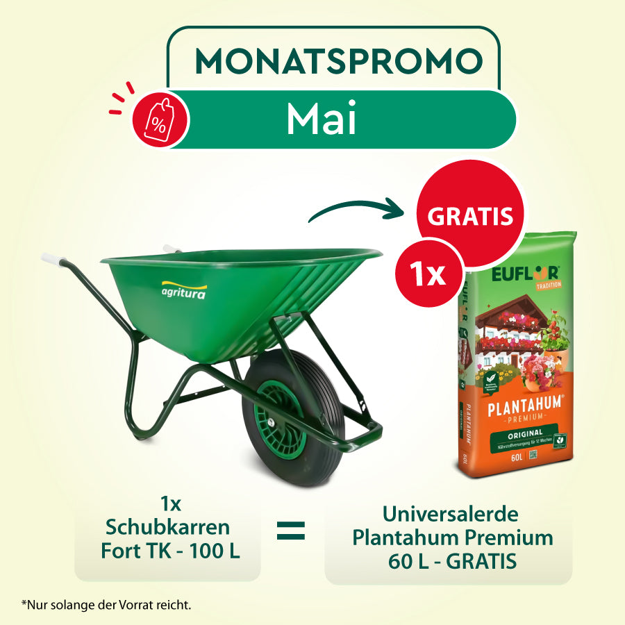 Carriola edilizia e giardino TK- lt 100