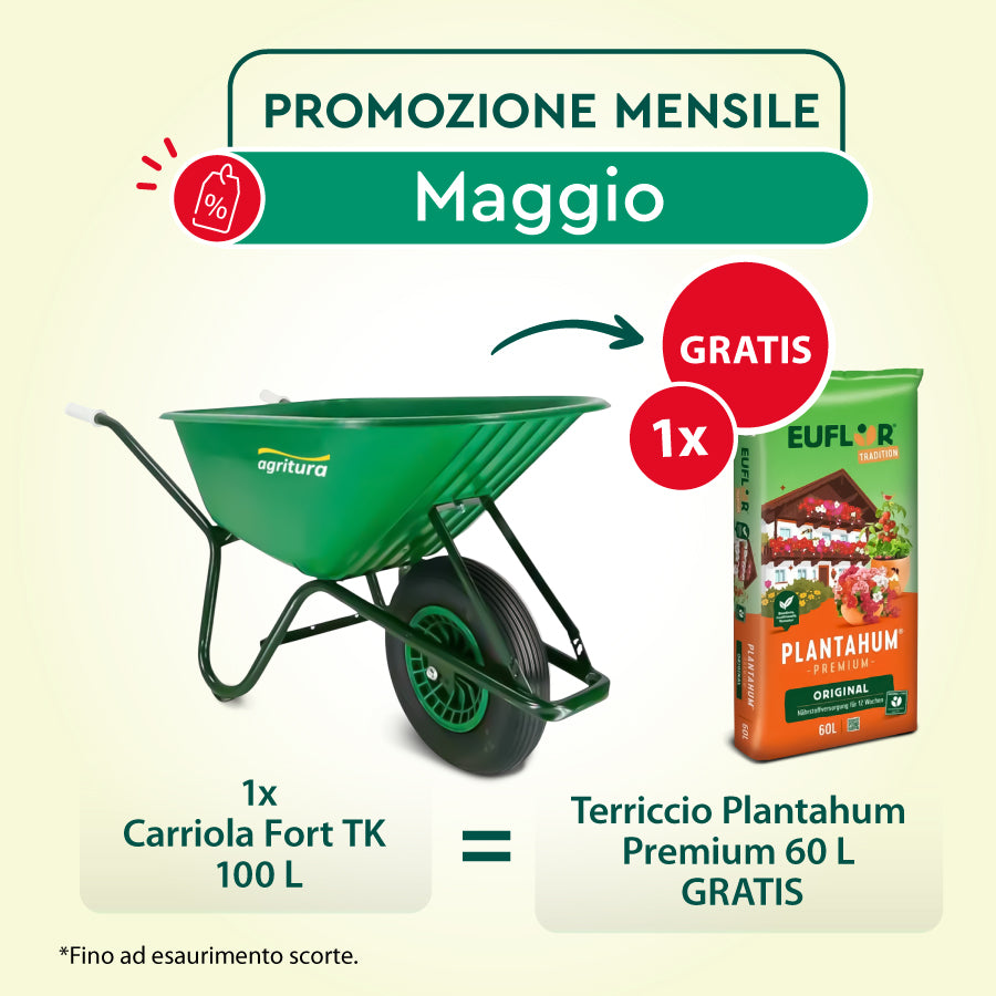 Carriola edilizia e giardino TK- lt 100