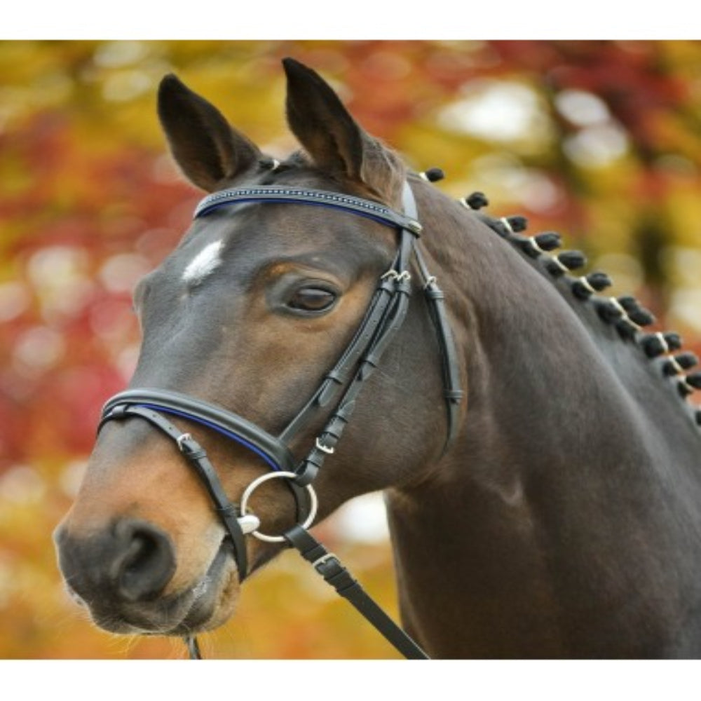Trensenzaum Diamond Bitless Bridle con Strass | Disponibile in Vari Colori e Misure