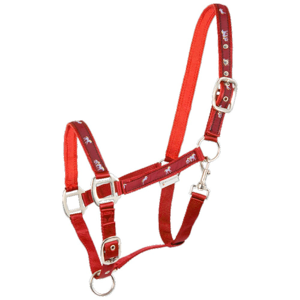 Cavezza Cavallo Pferdchen Con Imbottitura Morbida Regolabile