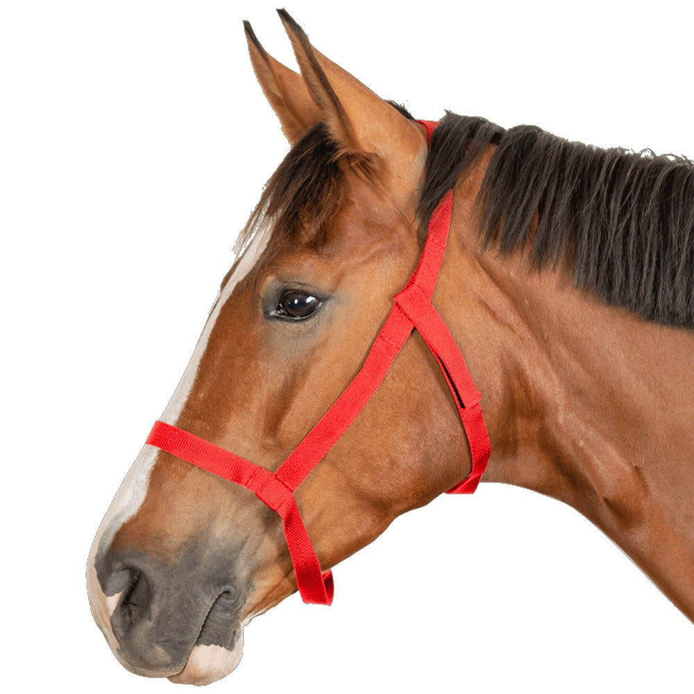 Safe Horse Grazing Halter Lightweight Breakaway Velcro Design