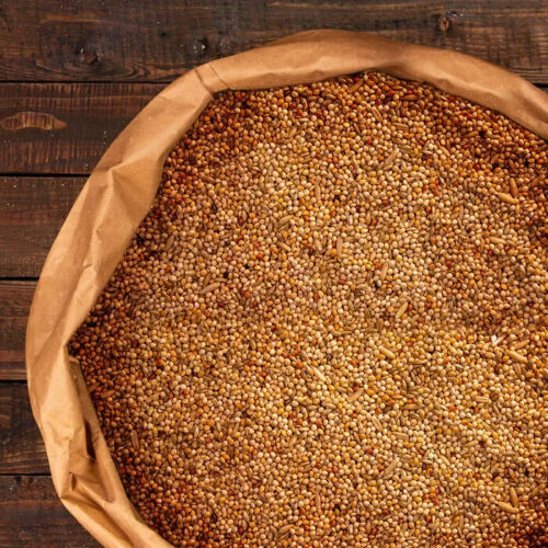 Deuka Wellensittich 20 kg mangime per uccelli inverno