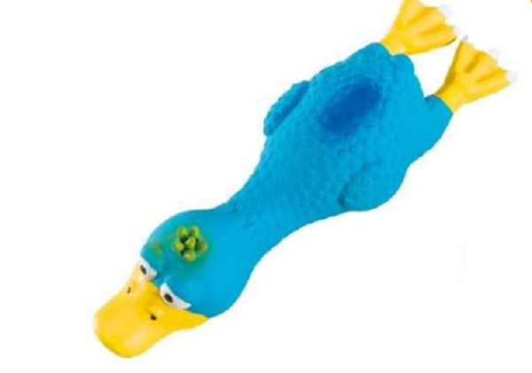 Gioco In Latex - Pollo E Anatra Con Sonaglio