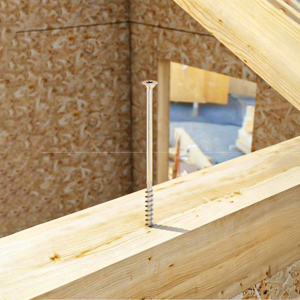 Vite Testa Svasata Bianca per Legno SNK 5 TX 25