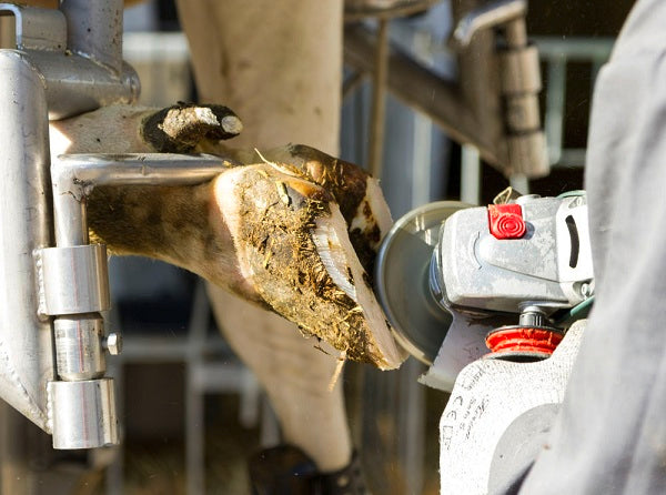 Disco in alluminio fresatore