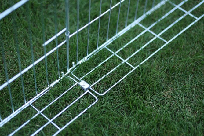 Recinto esterno per animali giovani