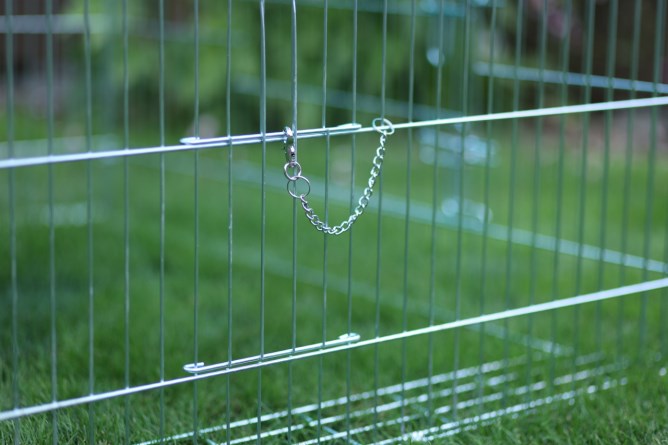 Recinto Animali Giovani Barriera