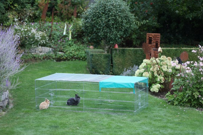 Recinto da esterno per conigli