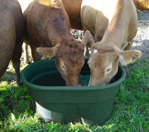 Valvola a galleggiante per abbeveratoi da pascolo