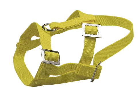 Cavezza in nylon per pecore e montoni