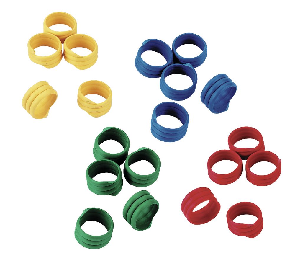 Anelli spirale, per zampe di pollame, multicolore, in plastica