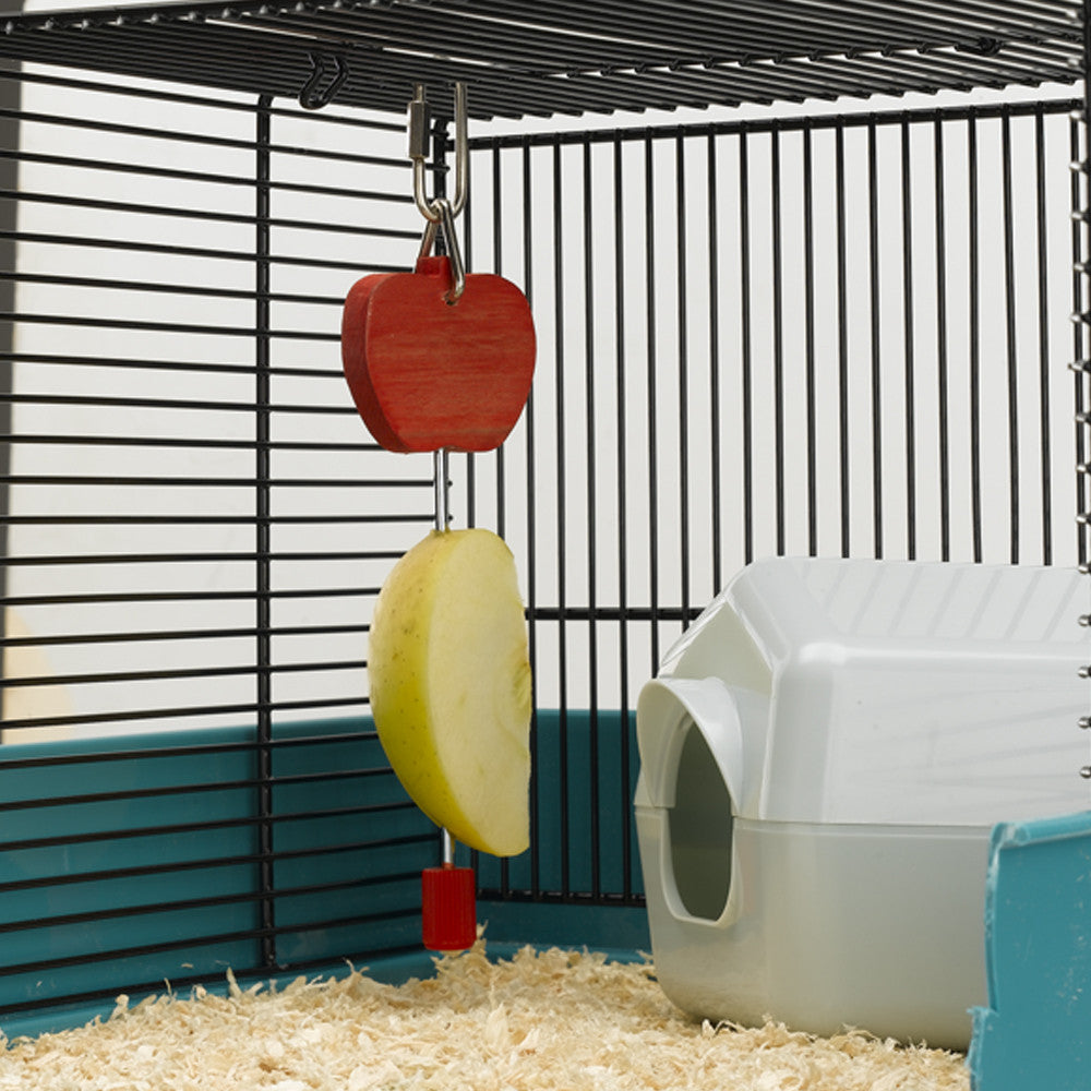 PA 4328 Porta Frutta per Uccelli – Ciotola Frutta Sospesa per Volatili