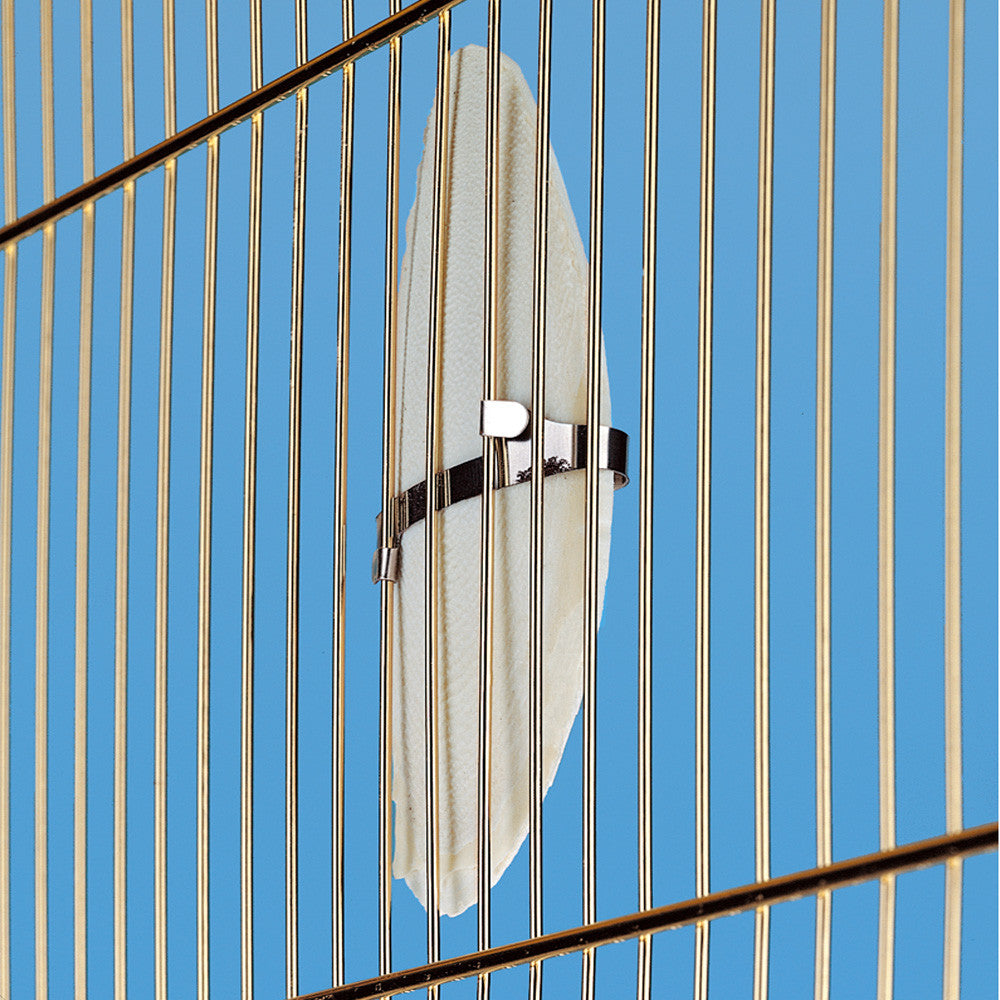 Osso di seppia PA 4330 Osso di seppia