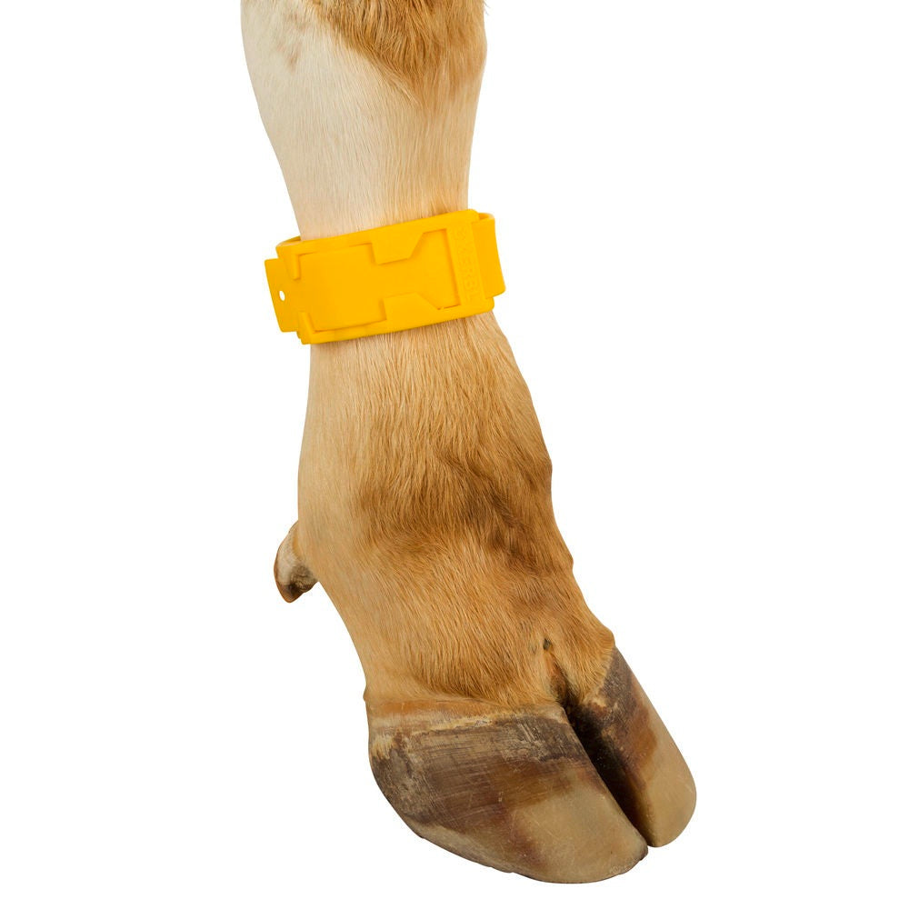 cavigliera plastica per bovini