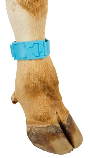 fascetta plastica bestiame