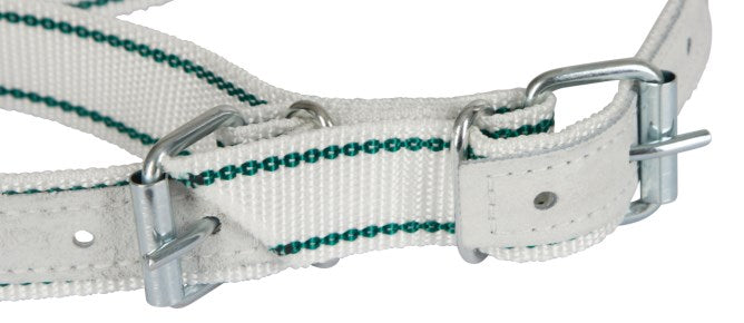 Cinghia anti zoppicaamento Standard