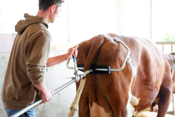 Ostetricia / Attrezzatura