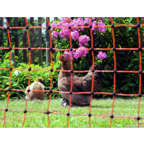 Rete per pollame 50 m