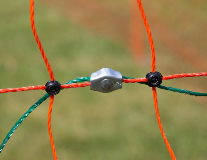 Rete per pollame 50 m