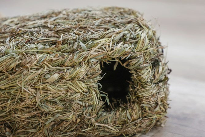 Casetta d’Erba Naturale con Due Ingressi