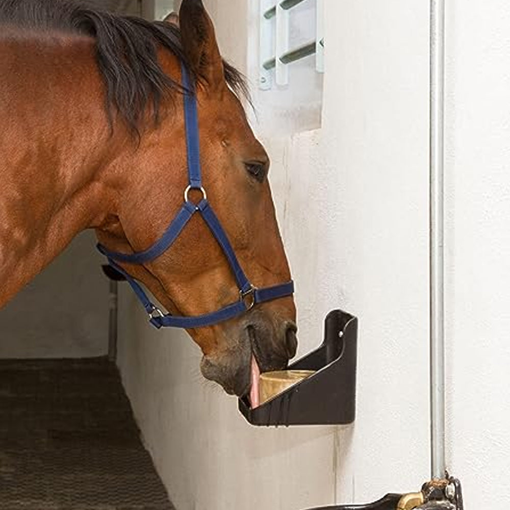 Supporto blocco sale quadrato 15 kg in plastica