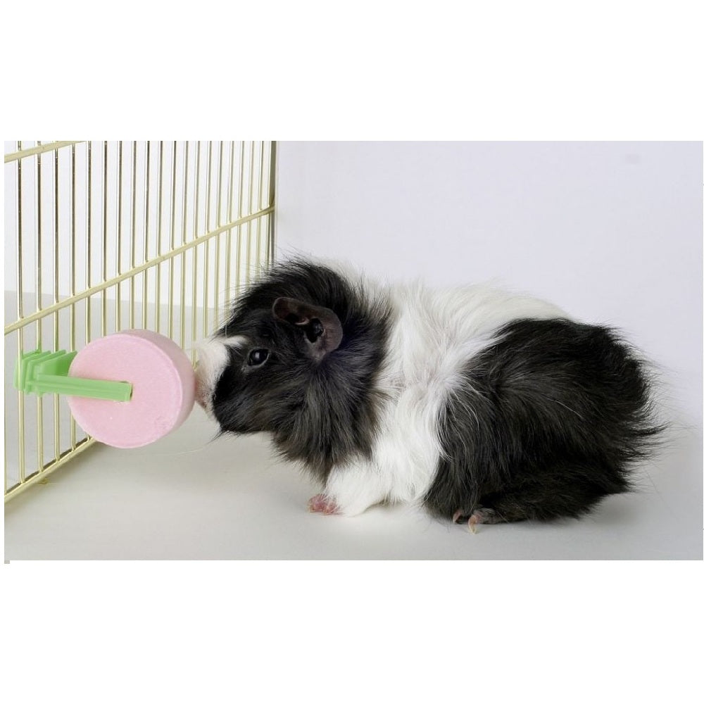 Pietra di sale da leccare con supporto per fissaggio