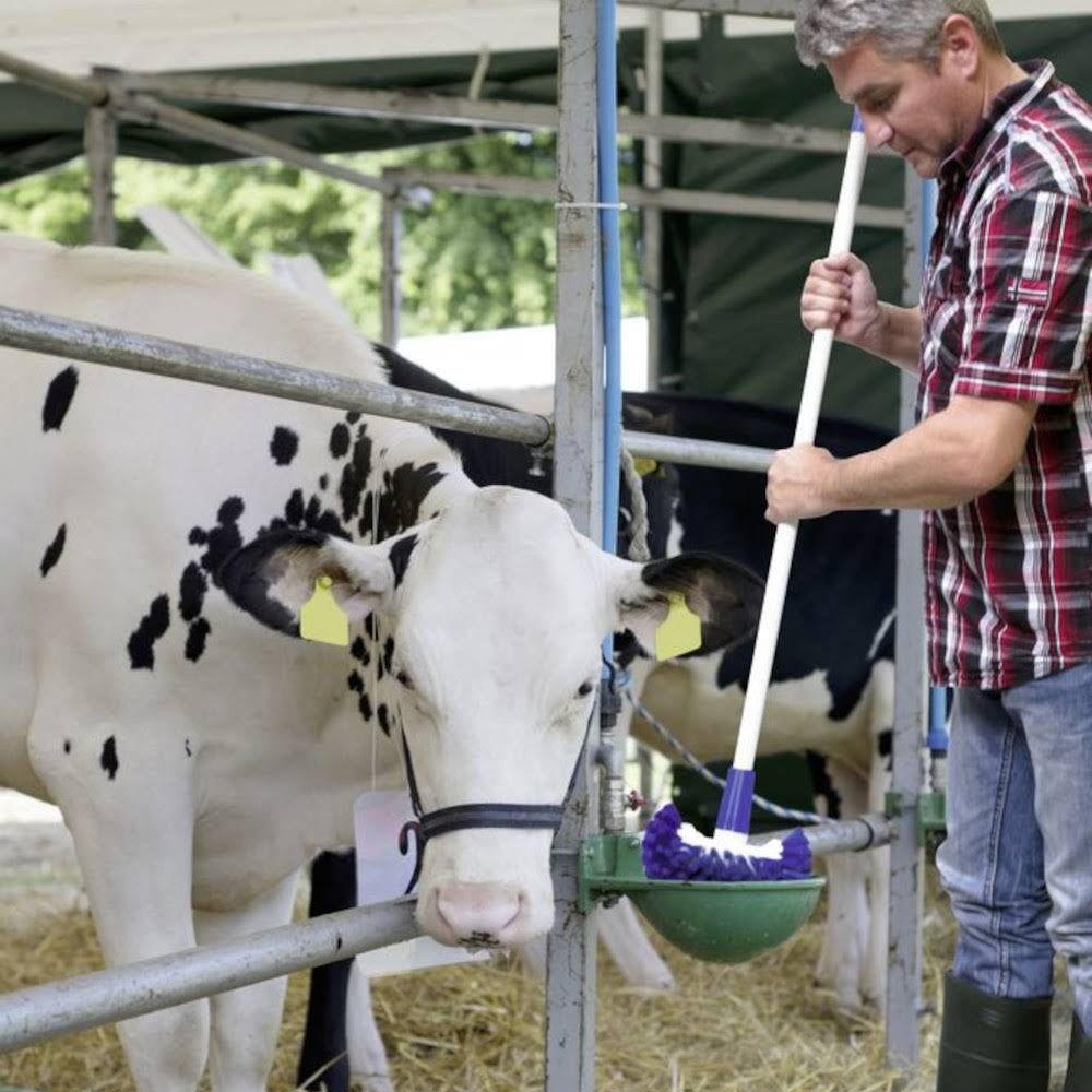 Spazzola per Tank Latte Senza Manico