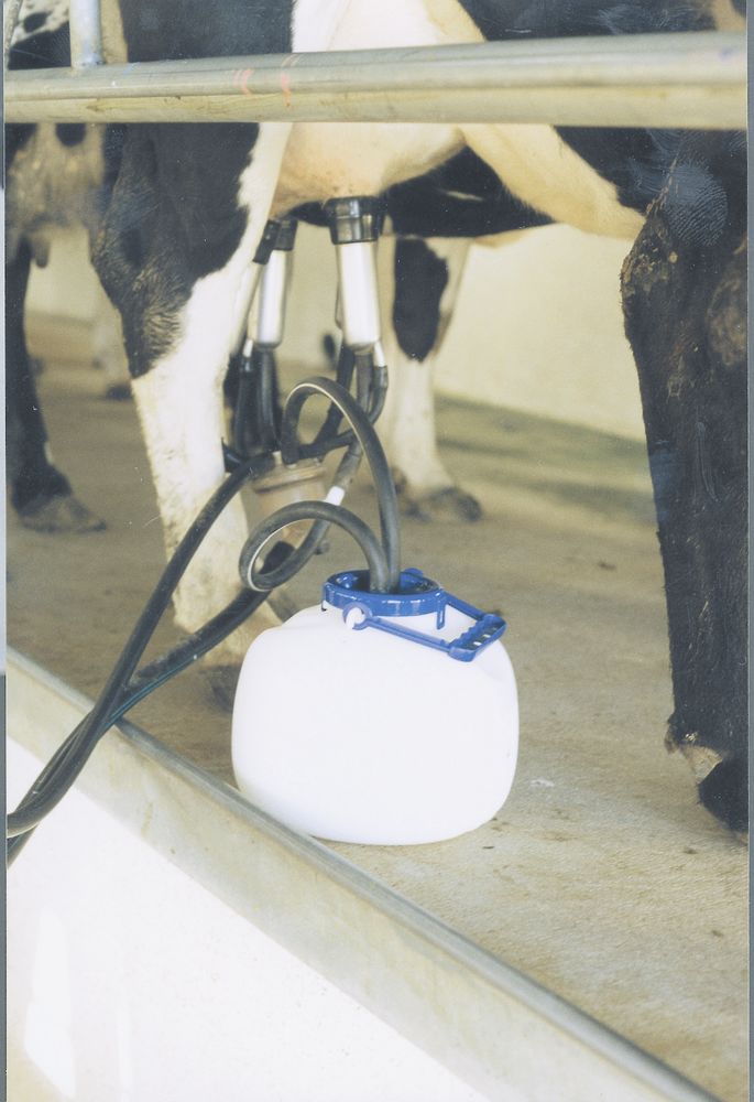 Mungitore quarto mammario capacità 8 litri