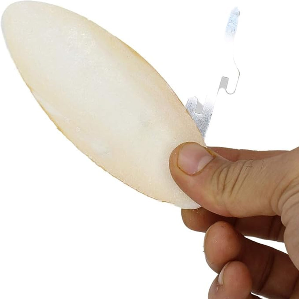 Osso di seppia PA 4330 Osso di seppia