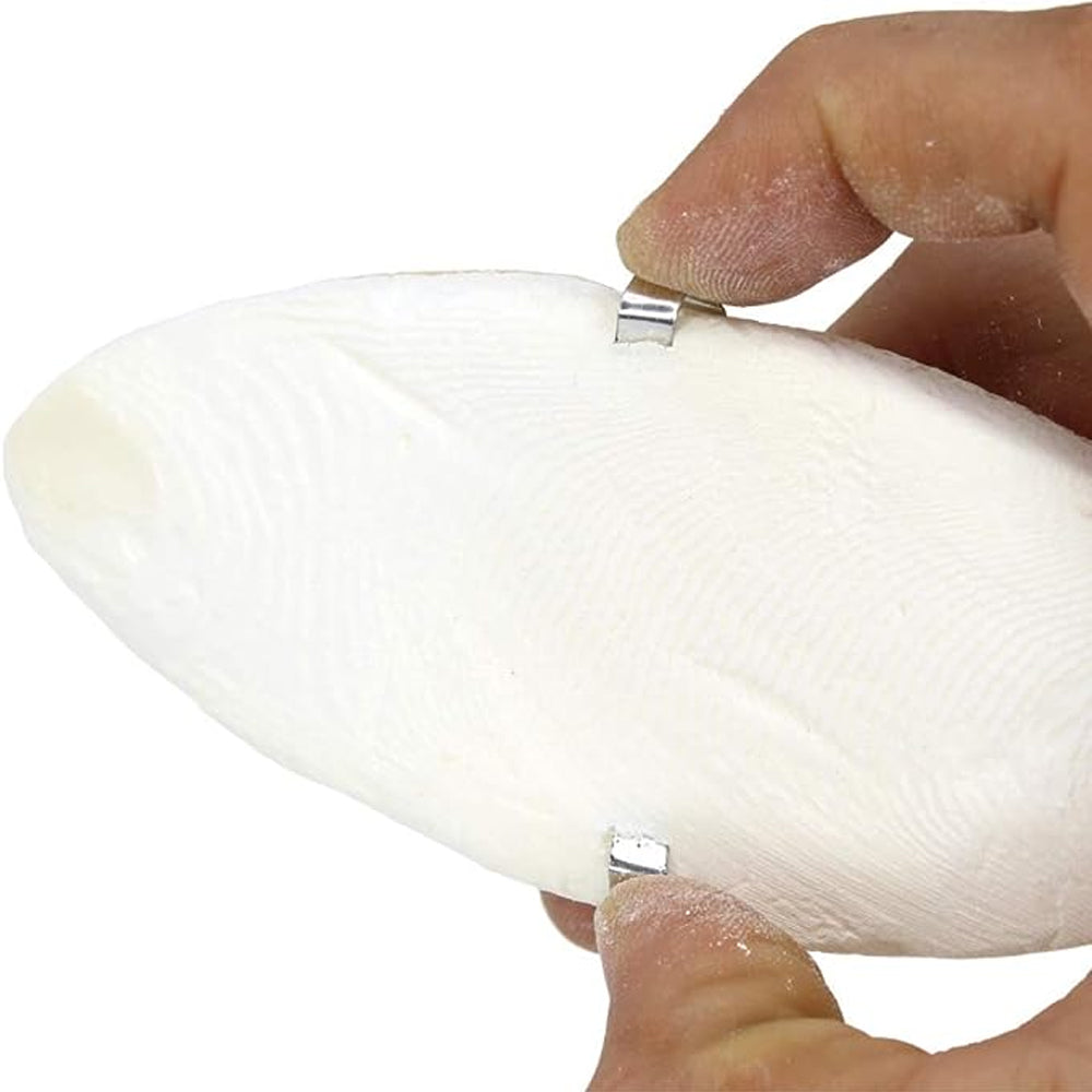 Osso di seppia PA 4330 Osso di seppia