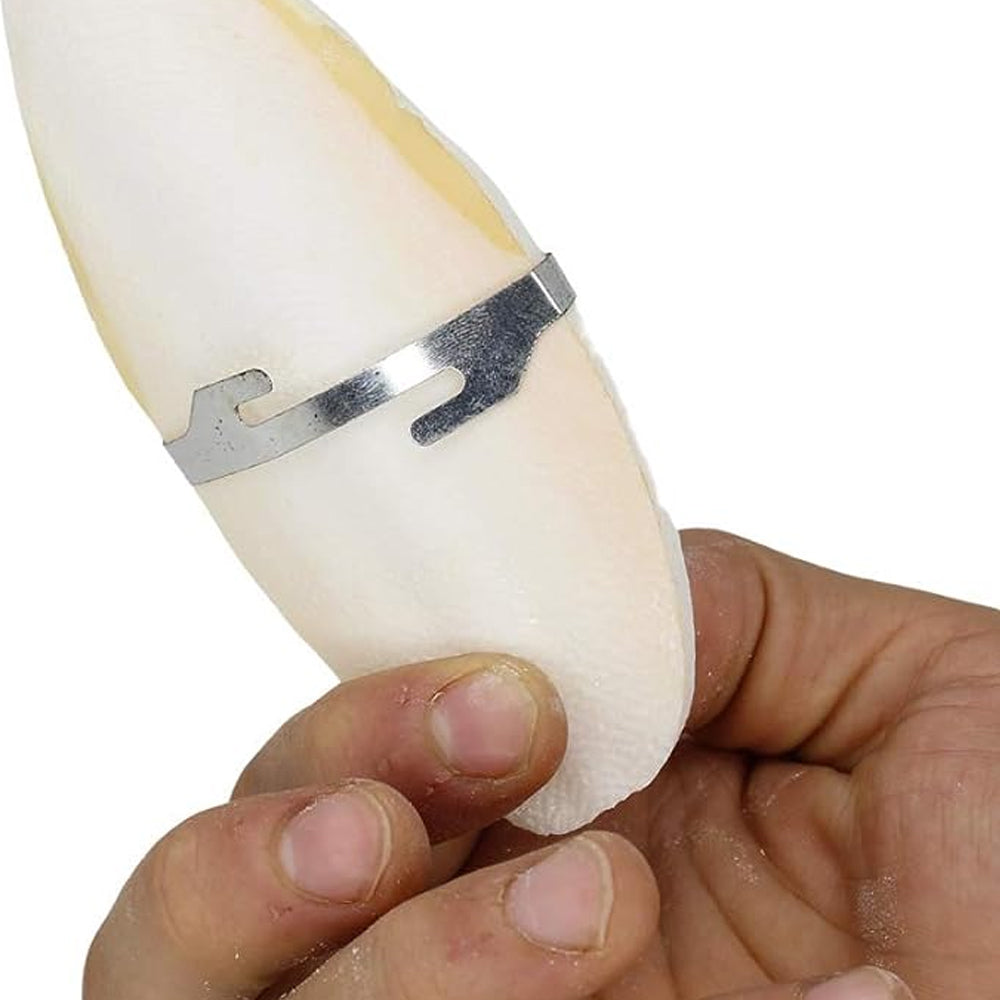 Osso di seppia PA 4330 Osso di seppia