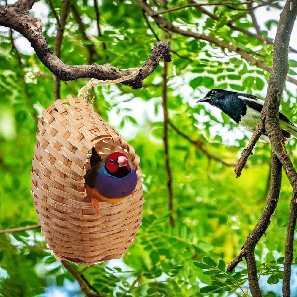 Nido chiuso in vimini per canarini, piccoli uccelli ed esotici