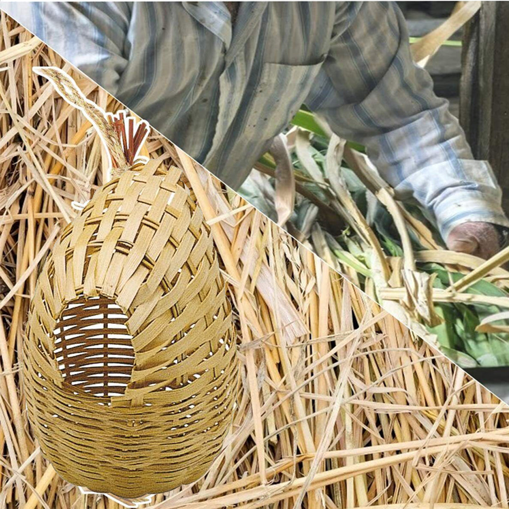 Nido chiuso in vimini per canarini, piccoli uccelli ed esotici