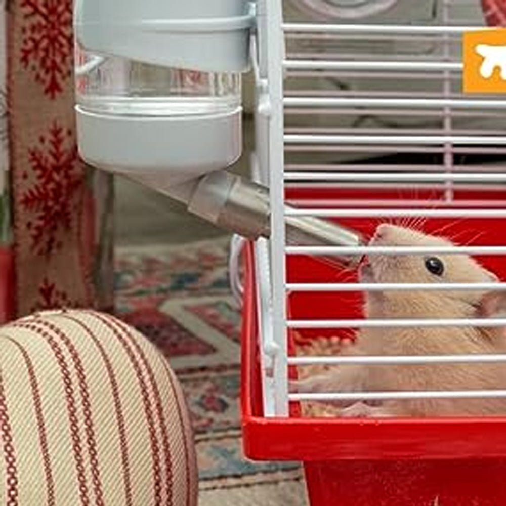 Piccolo Bottiglia D'acqua Appesa Coniglio