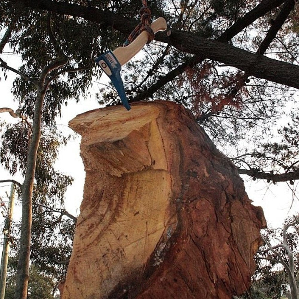 Tiratronchi curvo con manico in frassino