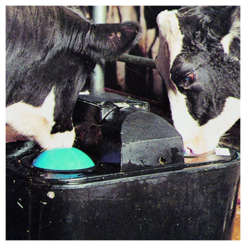 Abbeveratoio per Azienda Agricola a 1 Sfera