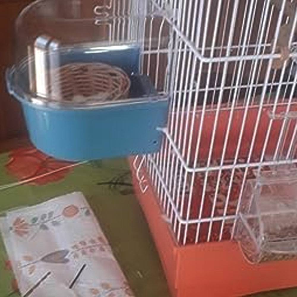 bagno per uccelli esotici