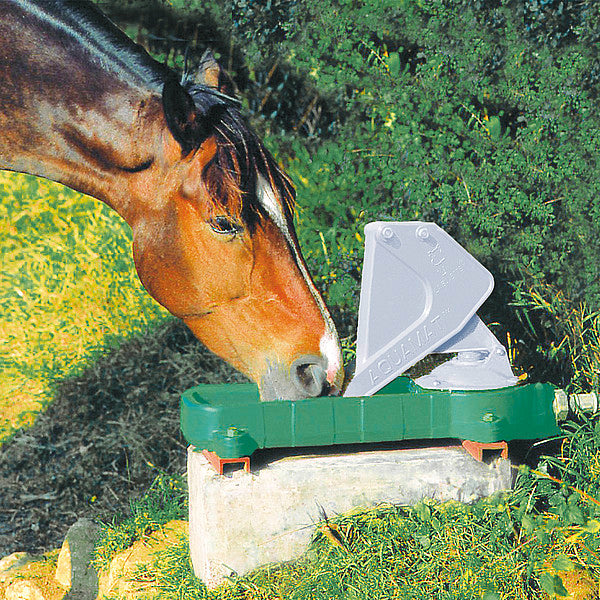 Pompa a Membrana per Pascoli – Modelli 547 | Acqua Autonoma