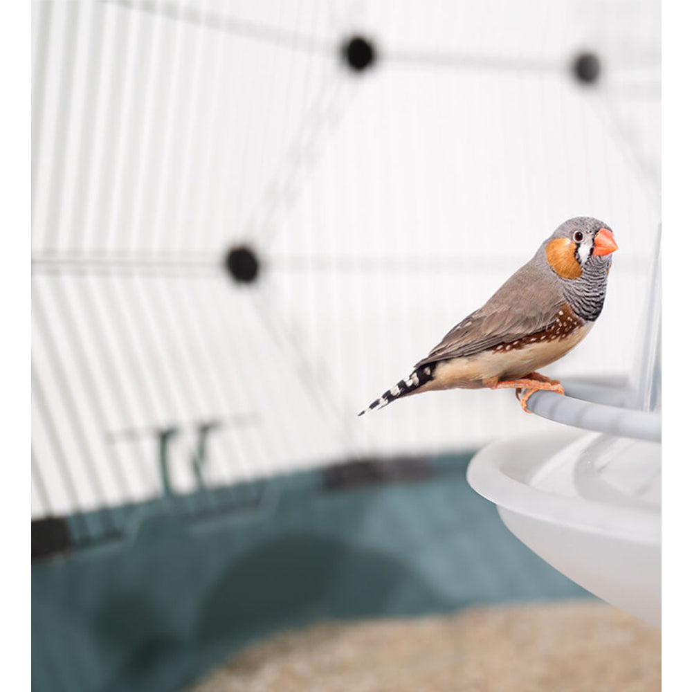 Rekord 3 Gabbia bianca per uccelli