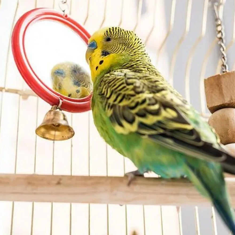 Rekord 3 Gabbia bianca per uccelli