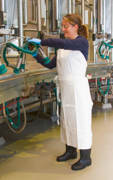 Grembiule di lavaggio