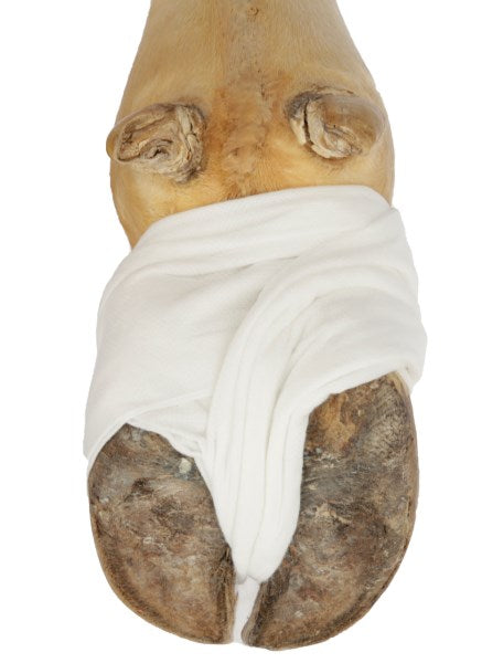 Carta Assorbente Absorba Kerbl