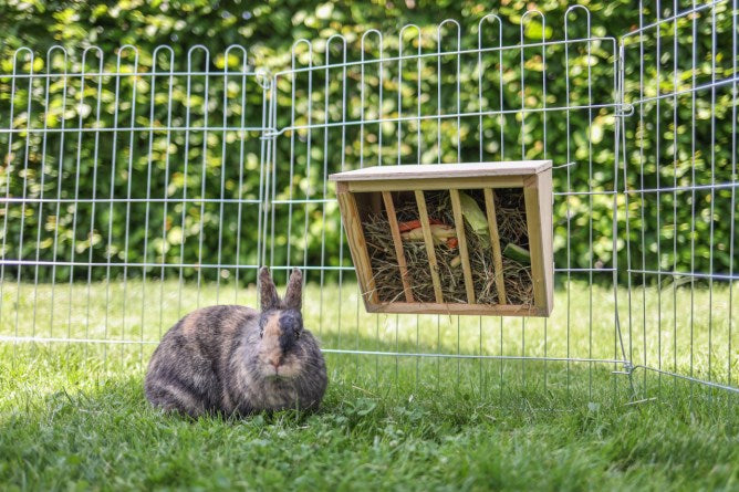Rastrelliera fieno in legno per conigli