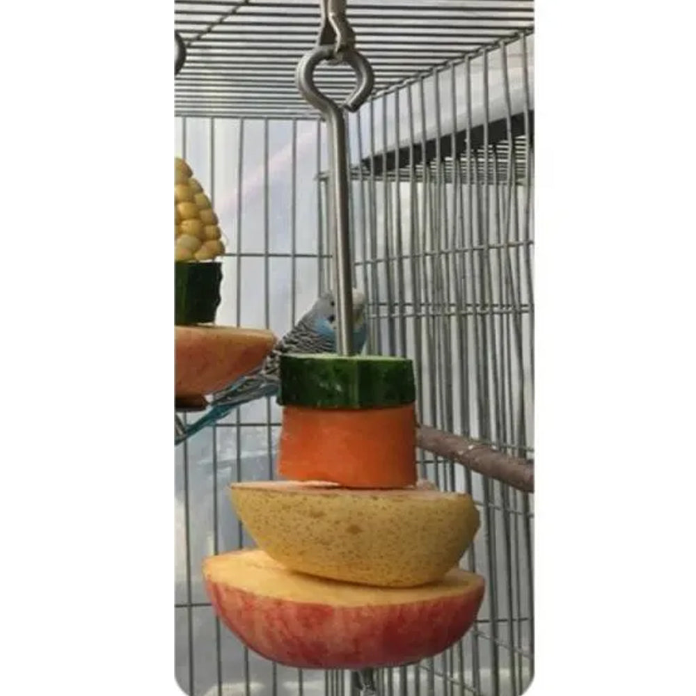 PA 4328 Porta Frutta per Uccelli – Ciotola Frutta Sospesa per Volatili