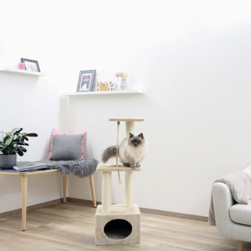 tiragraffi per gatti piccoli e medi