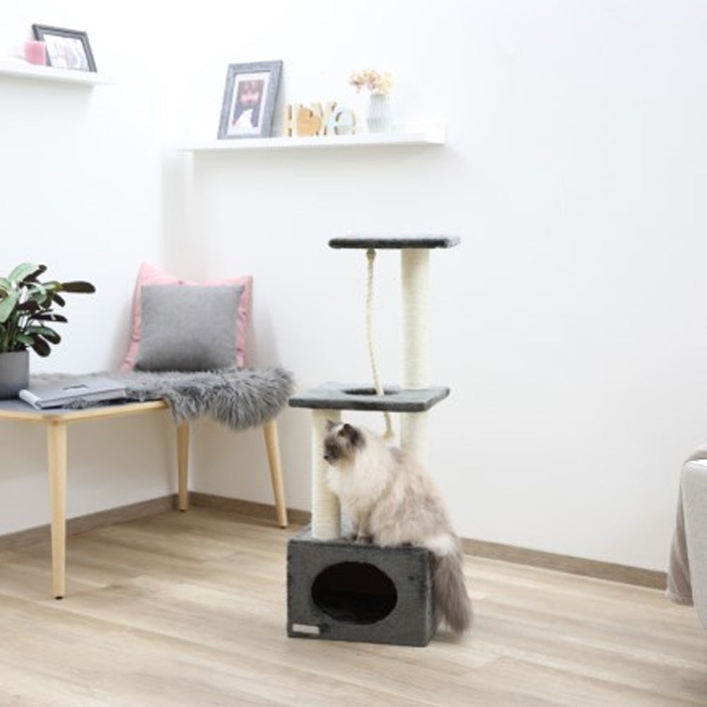 cavità tiragraffi per gatti